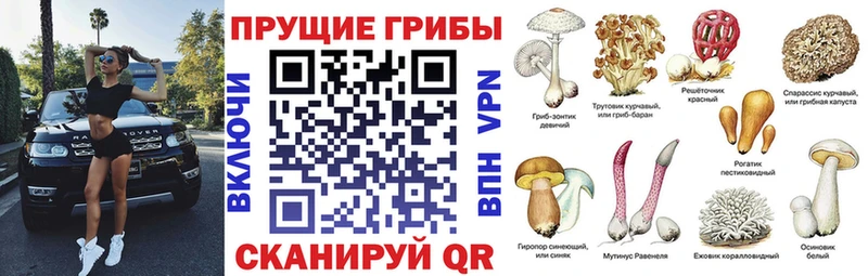 Псилоцибиновые грибы MAGIC MUSHROOMS  купить наркотики сайты  Макаров 